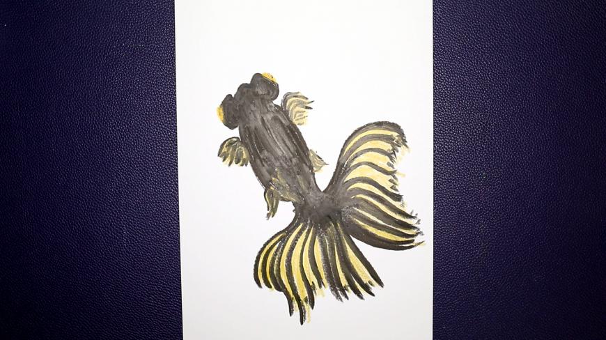 经典龙种金鱼墨龙睛,用油画棒画出龙睛凤尾,高鳍红剑作品
