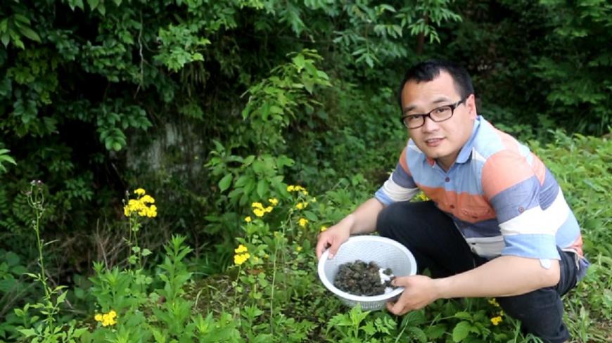 只有雨后才有的野菜,你吃过吗?拿它炒菜干很下粥,连吃两大碗