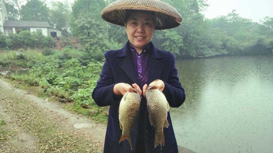 婆婆想吃鱼,媳妇给她精心秘制了道清蒸鲫鱼,鲜香美味超好吃