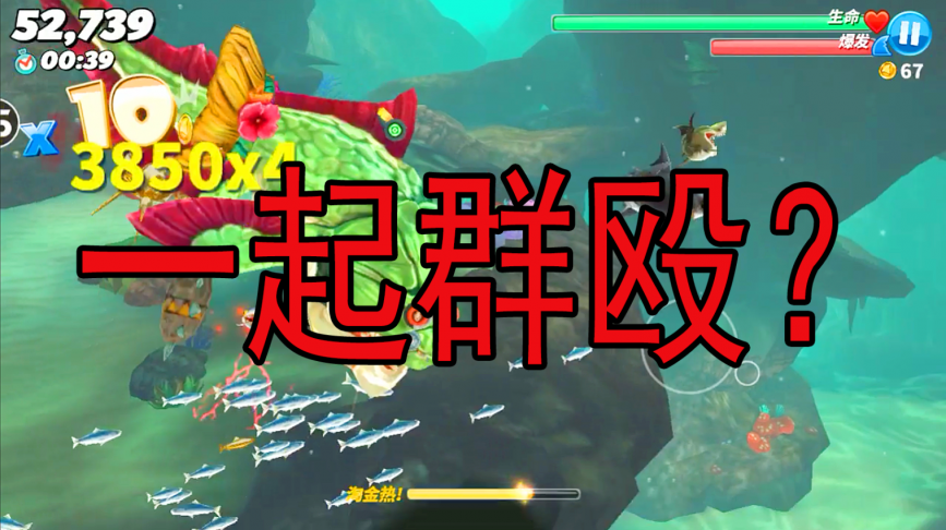 饥饿鲨世界:鲨鱼都是一群一群的吗?