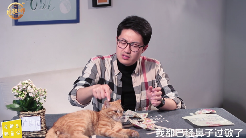 试吃网红爆款老鲜生的鱿鱼仔,不但个头儿大味道也很赞