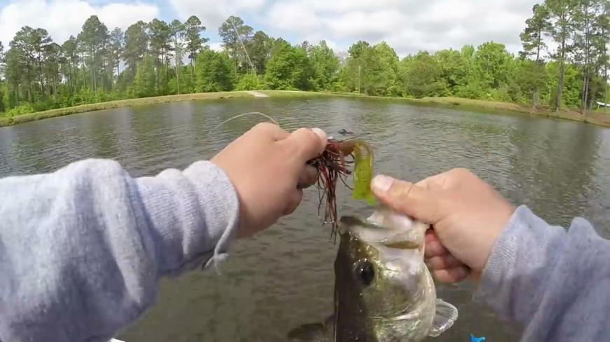 钓鱼:鲈鱼连杆的感觉真爽,小点的直接飞起!