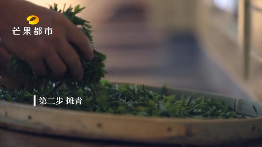 金井茶叶非遗传人:传承炒茶技艺 执着坚持用双手炒出片片清香