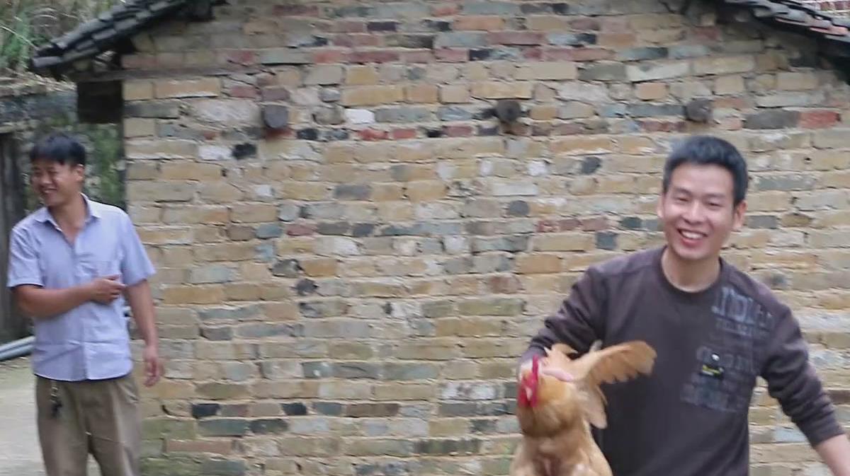 农村小伙现捉清远麻鸡做白切鸡,20分钟出锅斩件,味道很地道