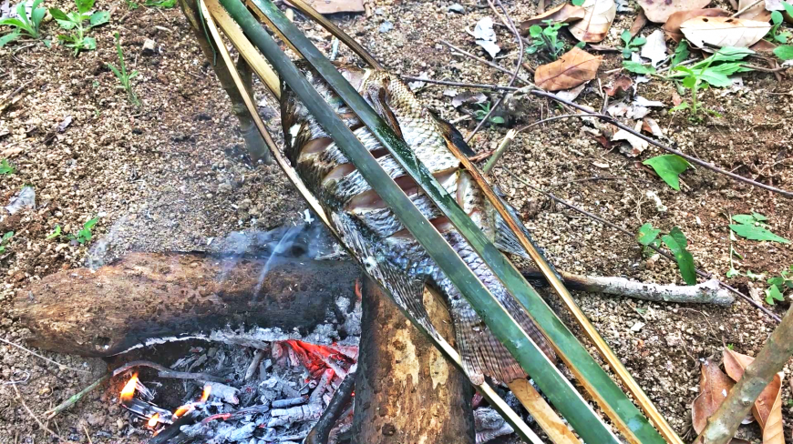 山里用竹筒烤鱼 比专业烧烤架还要实用 这么大的鱼都不够吃