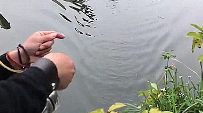 弹弓射鱼镖:打中大鱼显成绩,而打中小鱼更显技术……