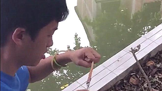 弹弓射鱼镖:看你这劲头,莫不是把“鱼神”给捞上来了吧?