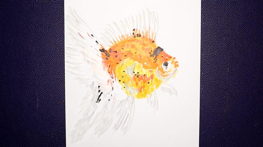 最爱画金鱼,油画棒画文种金鱼,除了我还有人这样画过吗?