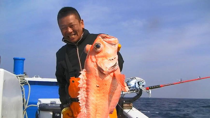 海钓深海鱼,出水面整条鱼都肿了
