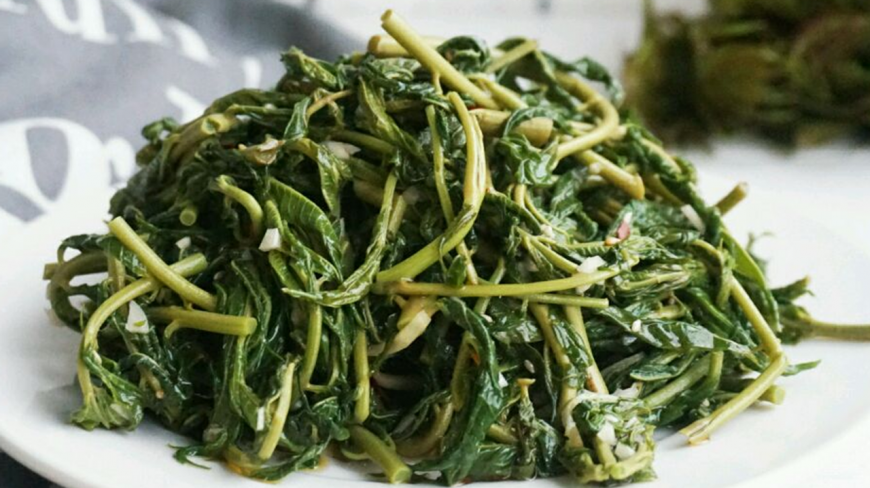这种山上长的野菜比肉还贵,补肾固精健脾开胃,营养价值超高