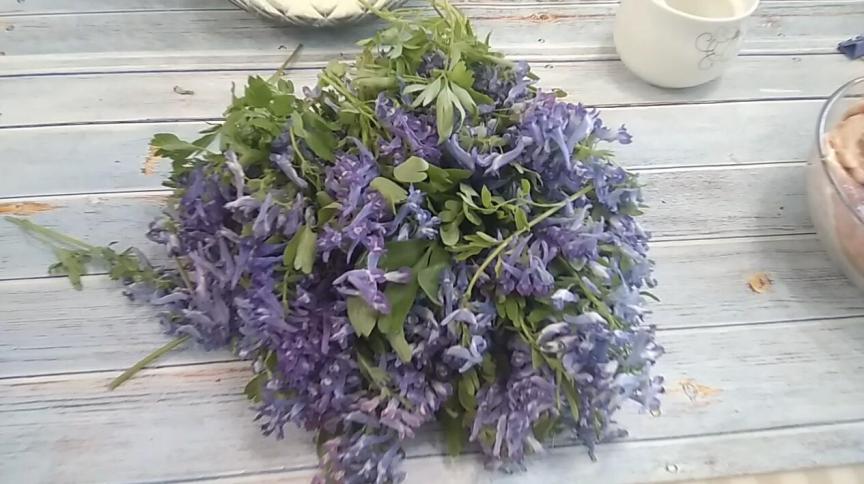 山野菜采摘季,兰花草馅的饺子你吃过吗?皮薄馅大味道鲜美