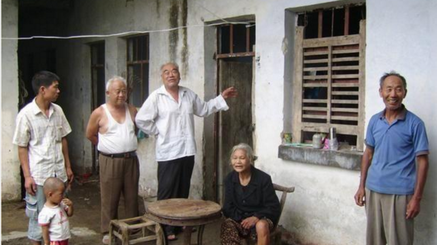 农村田野常见的野草,没想到都是中药,真是长见识了!