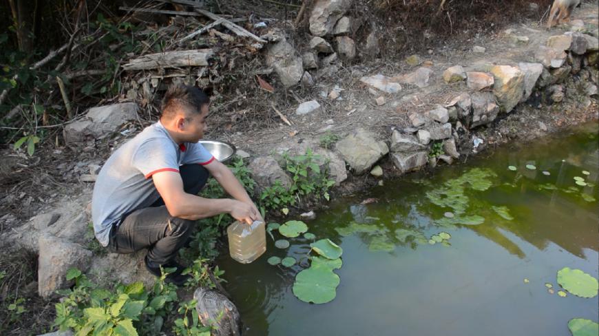 鱼塘长了好多青苔,农村小伙抓了点虾来清理,小小鱼塘添新成员啦