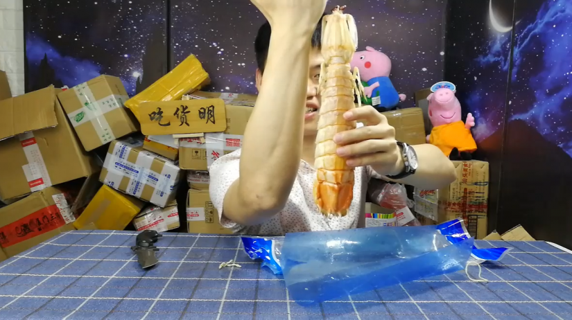 试吃巨型泰国皮皮虾,128元两只,跟手臂差不多大