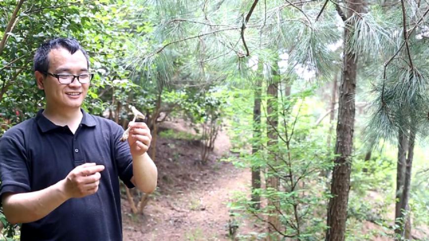 山上寻野味发现野菇,妈妈说是鸡爪菇,把我笑坏了,你说像吗