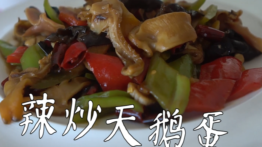 天鹅蛋与蛤蜊傻傻分不清?快来看看,这才是真正的天鹅蛋!