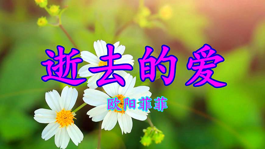 [图]怀旧情歌,欧阳菲菲一首《逝去的爱》伤感至极