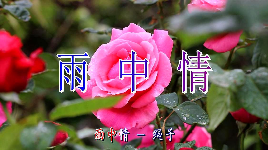 [图]醉人情歌,绳子一首《雨中情》旋律优美,好听极了