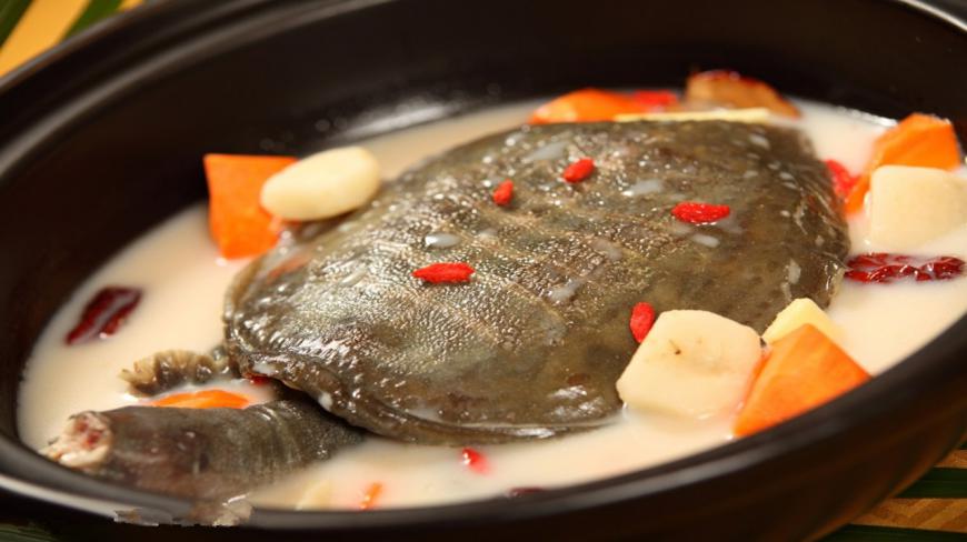 男人吃乌龟和吃甲鱼,有什么不一样?今天算长见识了