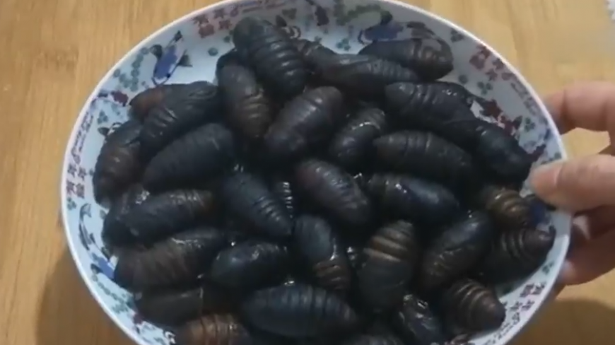 教你来做家常炒蝉蛹,入味又好吃
