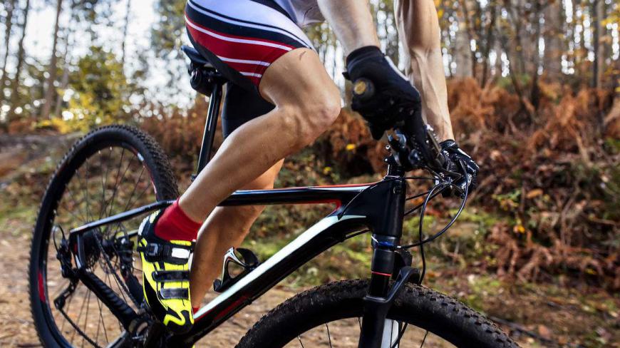 人体极限是什么?看自行车运动员的大腿,简直就是人肉发动机