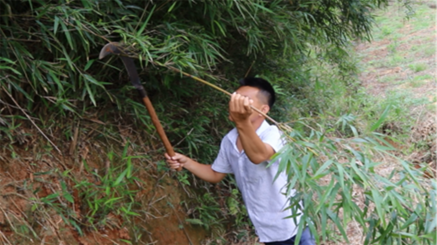广西农村小伙制作简易钓鱼竿,只花了2块钱,你觉得实用吗