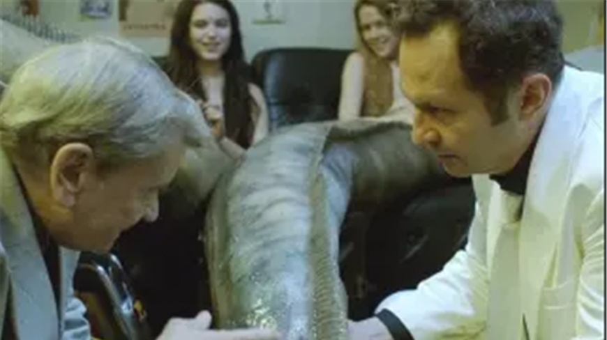 大海里冲出2条美人鱼,被商贩抓走当成赚钱工具,却惹来大祸!