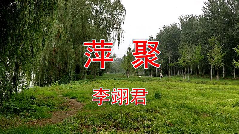 [图]李翊君一首《萍聚》经典老歌，好听情歌