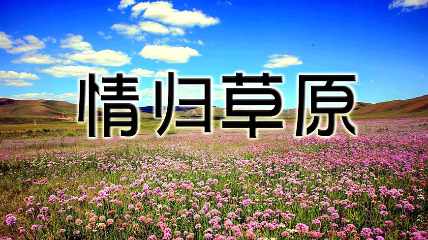 [图]云飞演唱一首草原情歌《情归草原》