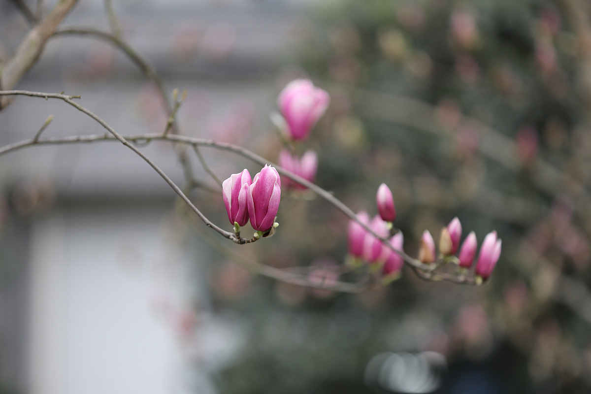 2021年重庆经贸职业学院五年制大专招生要求详解