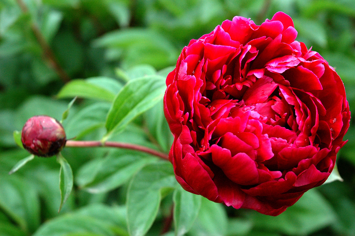 帮我写一段跟春天有关的歌词