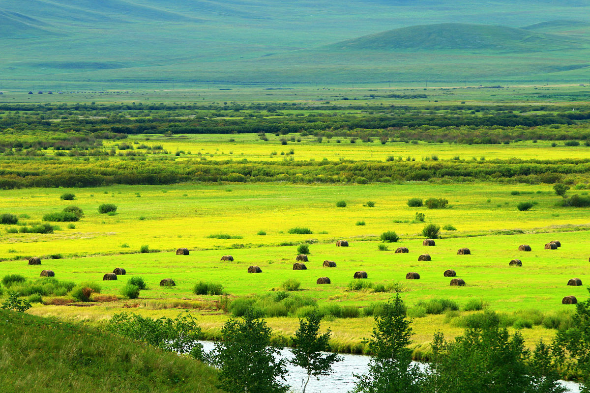 呼伦贝尔草原分等定级