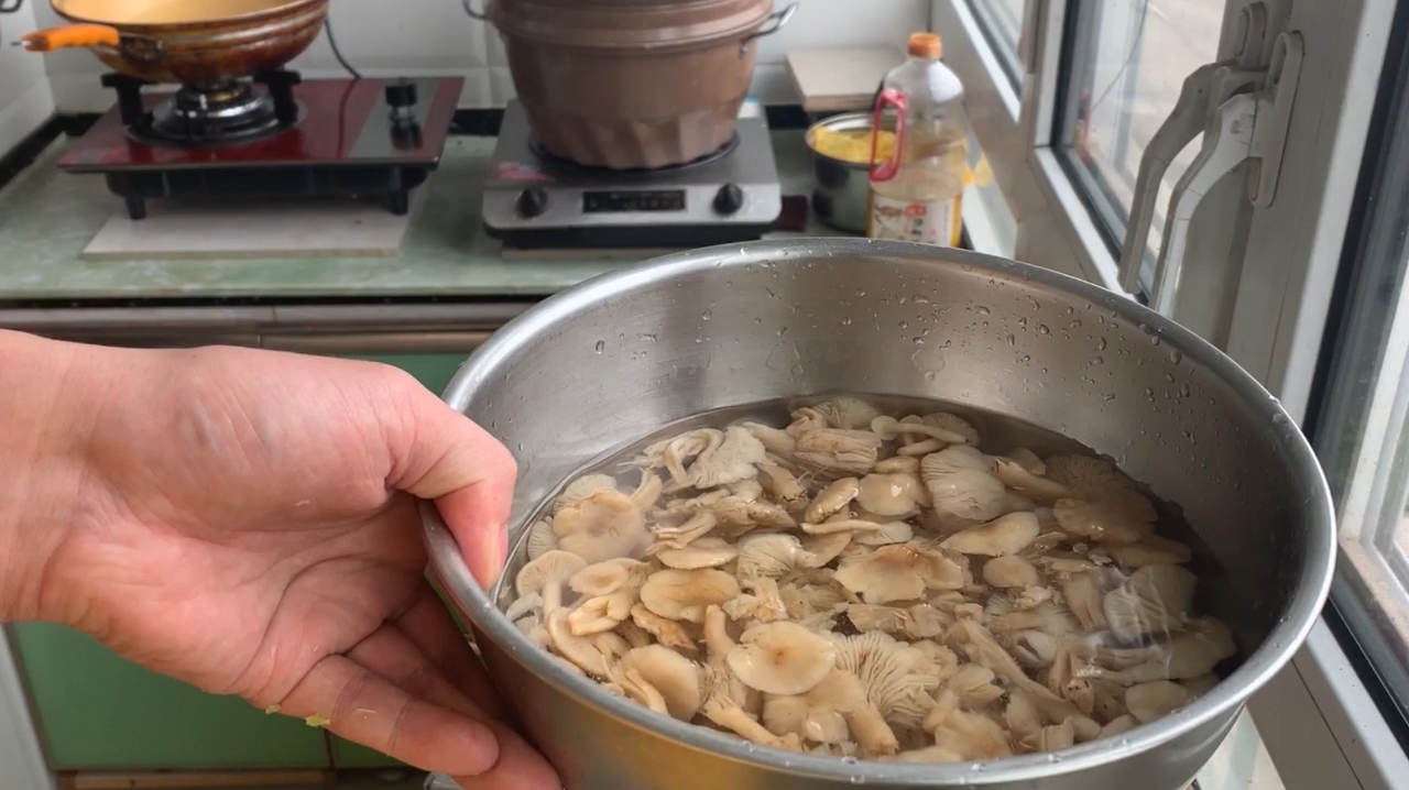 东北山珍,蘑菇中的极品小黄蘑菇,爽滑鲜嫩!这种做法你喜欢吗?