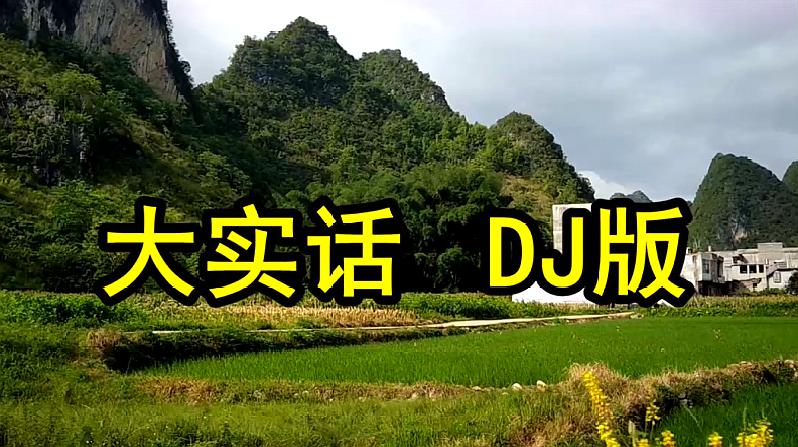 [图]一首网络DJ嗨曲《大实话》句句大实话,分享给大家!