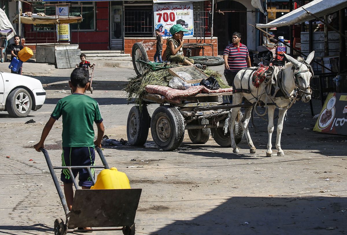 考研复试：以'commit'为中心词，展现我的长期主义精神