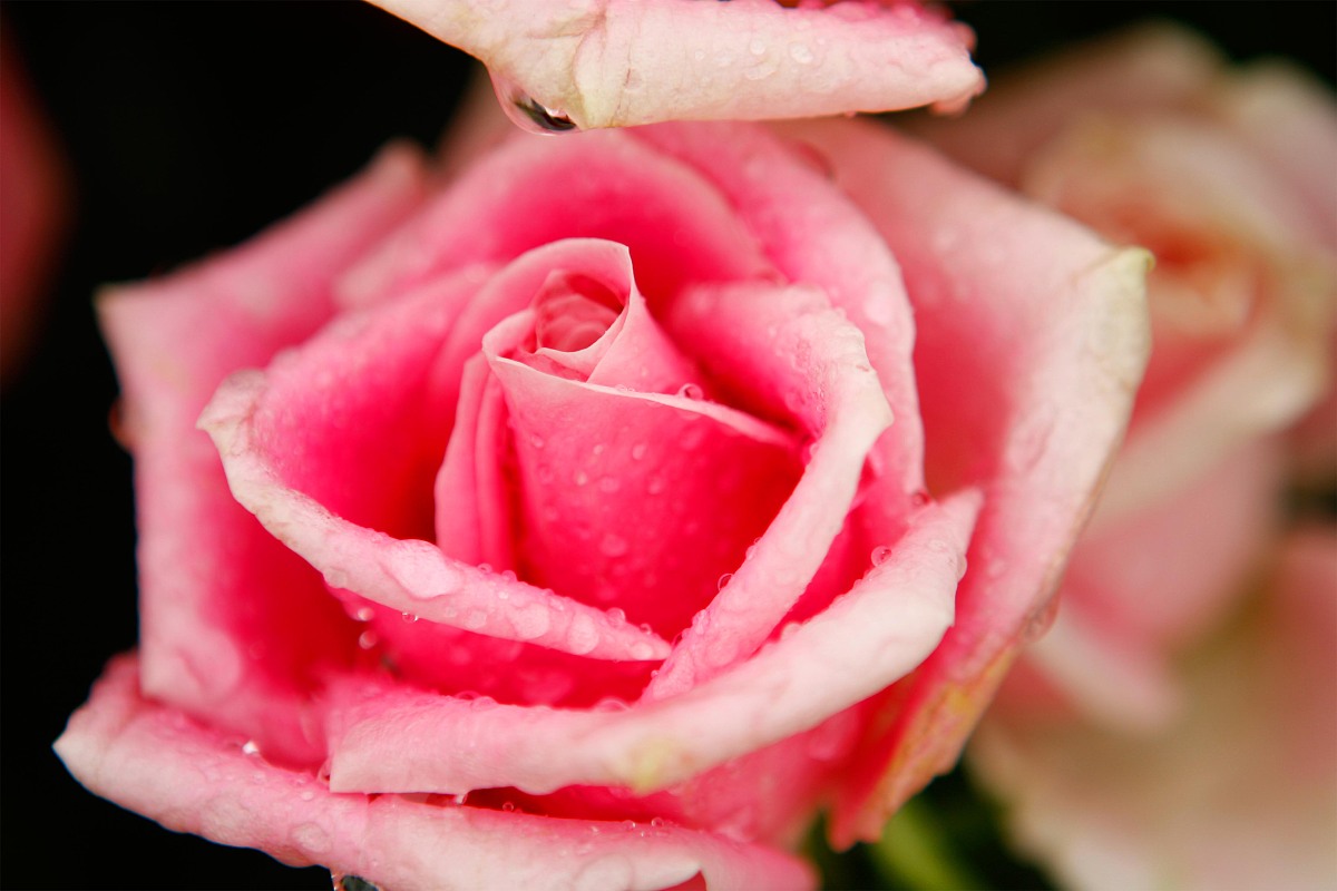 四川省轻工工程学校2019招生电话及联系方式