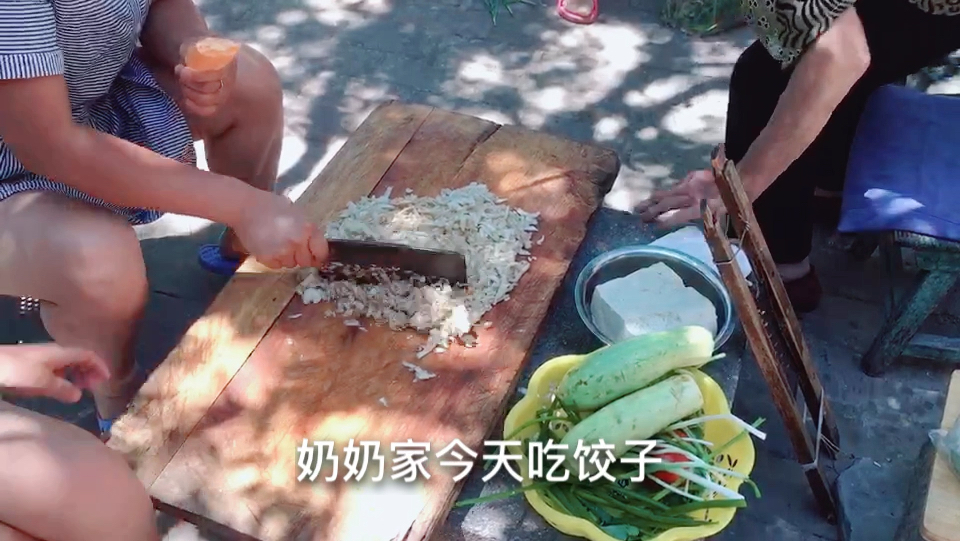 大家一起做蔬菜汁彩色饺子,86岁奶奶亲自包,全家人吃美啦!