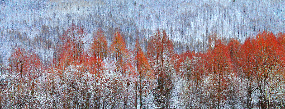 大兴安岭职业学院文秘专业怎么样？好学吗？就业前景如何？