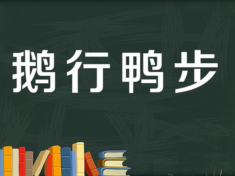 「秒懂百科」一分钟了解鹅行鸭步
