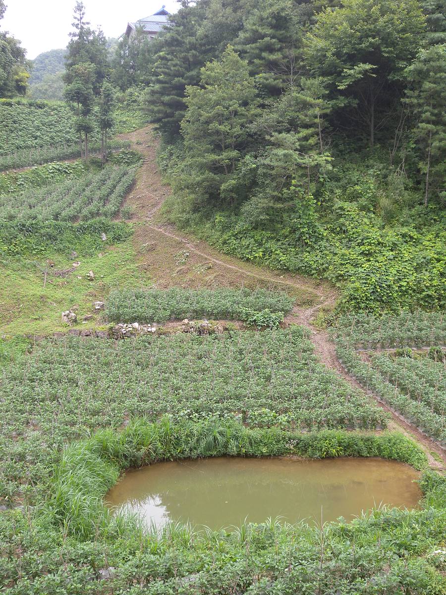 湖北现代农业技师学院2021年有哪些招生专业