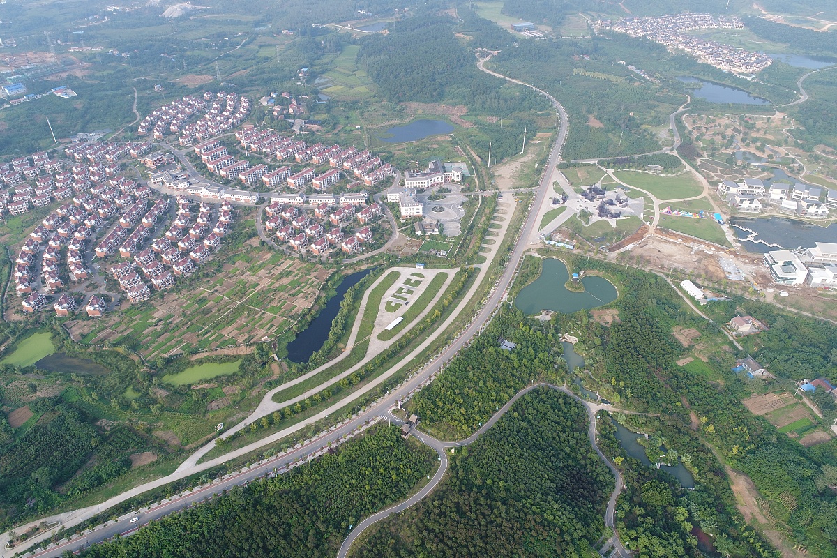 重庆市卫生学校实力解析：师资、设施、实践全面解读