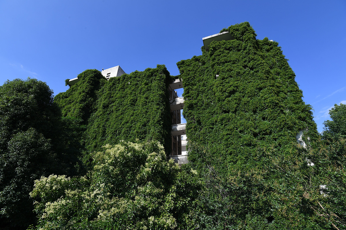 贵州哪些大专学校的小学教育专业好