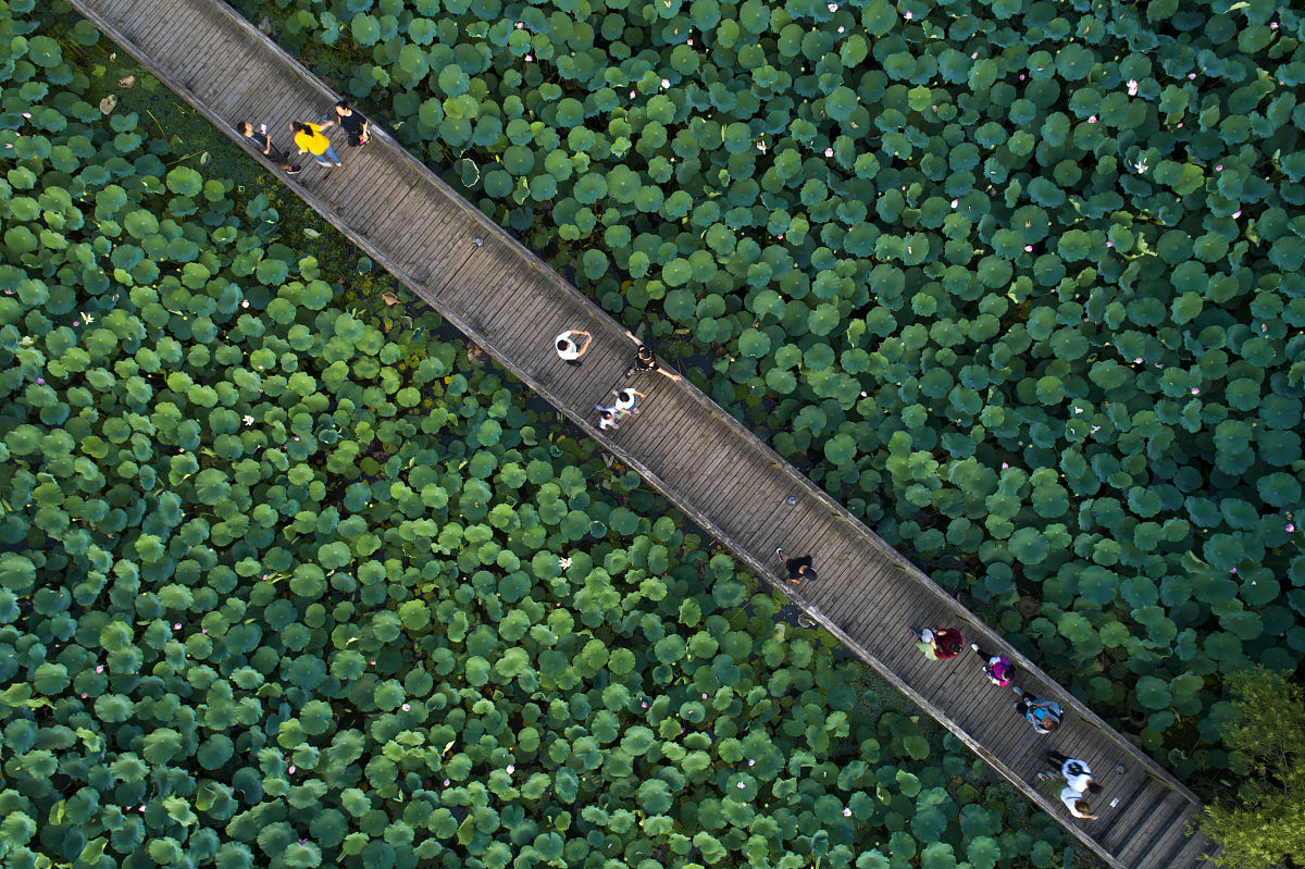 西安市体育运动学校招生简章 - 2019年招生简章