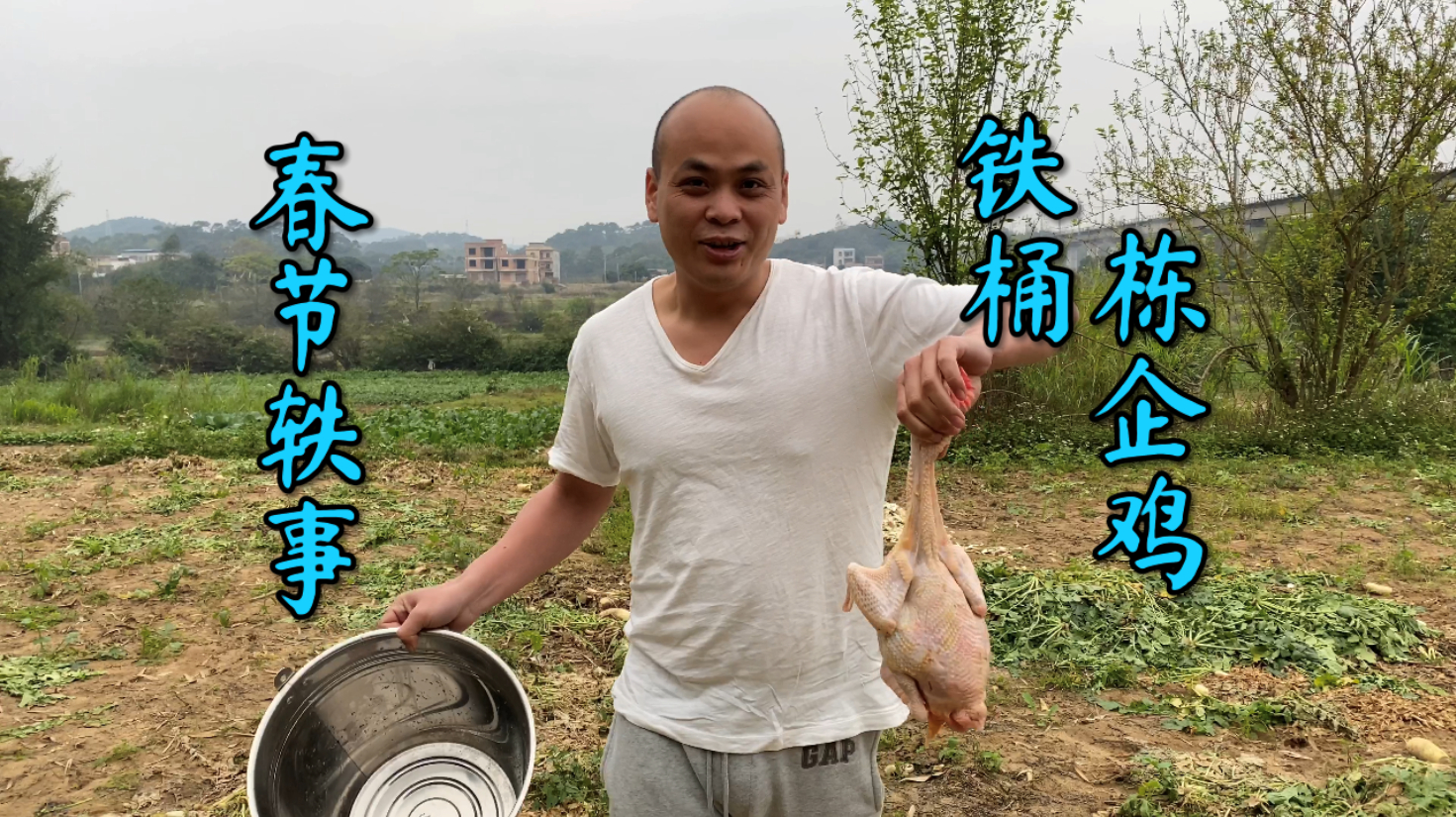 今天天气不错,跟随农师傅去户外体验“铁桶栋企鸡”,还真不赖