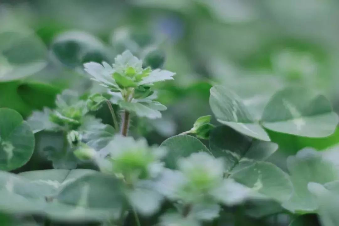 郴州东江湖