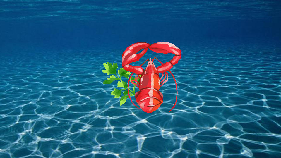 盱眙龙虾:江苏省淮安市盱眙县特产