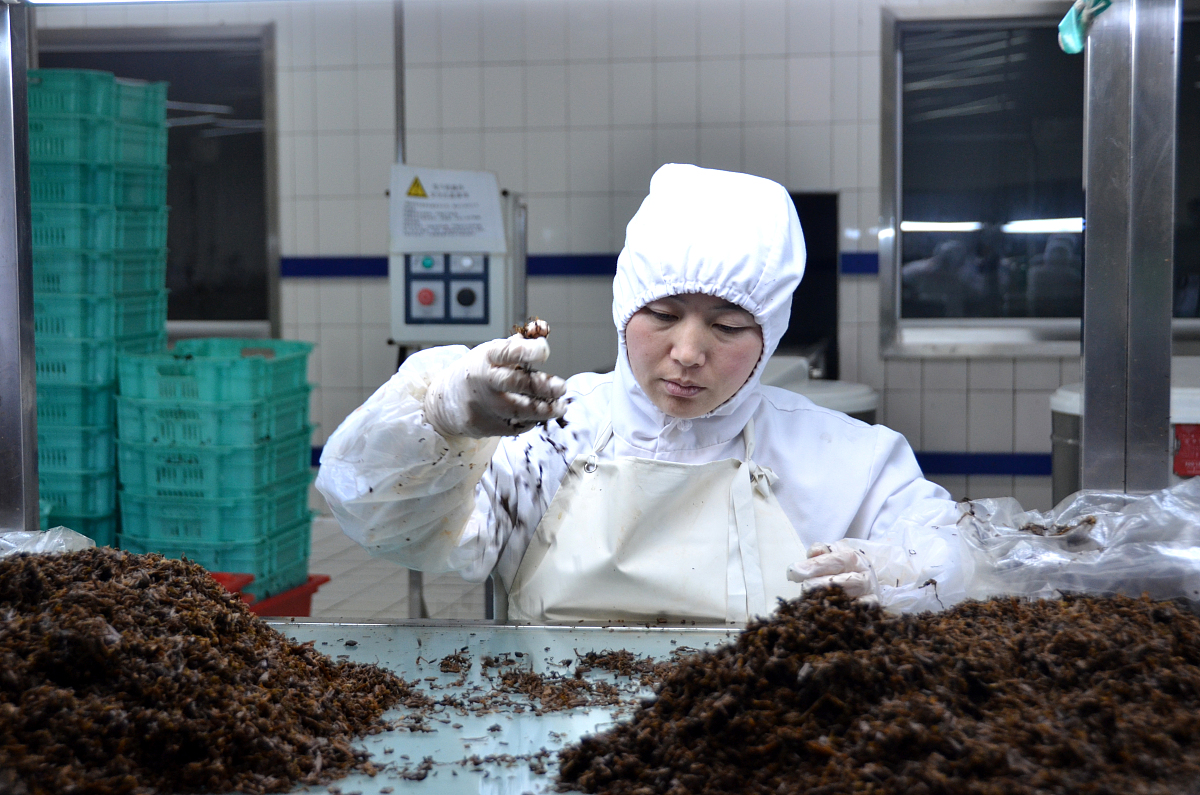北京:探访高铁餐食生产基地 精挑细选做出"舌尖美味"