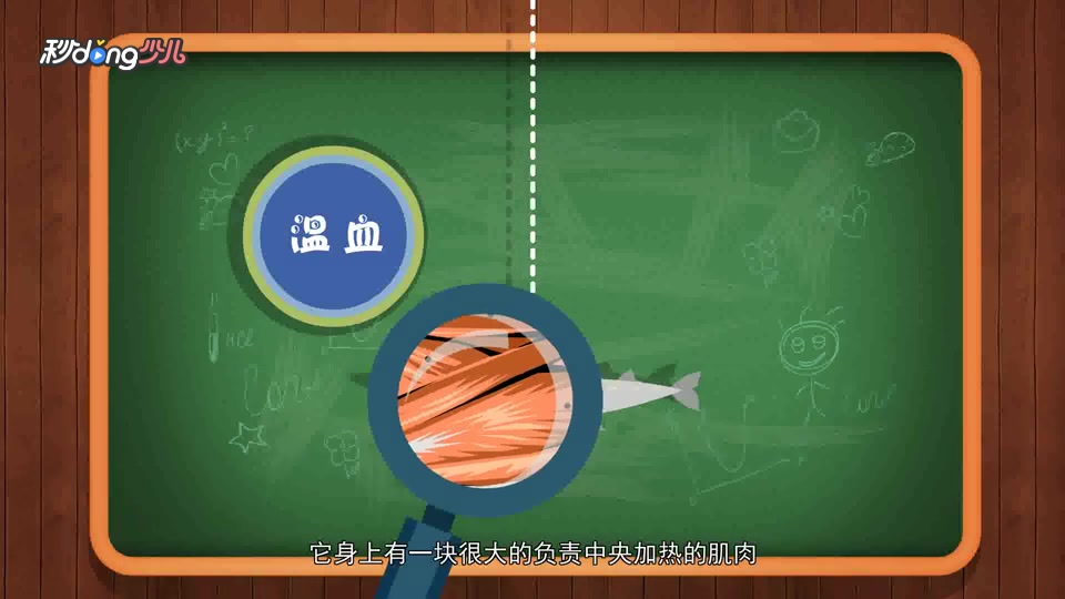 鱼都是冷血的吗?