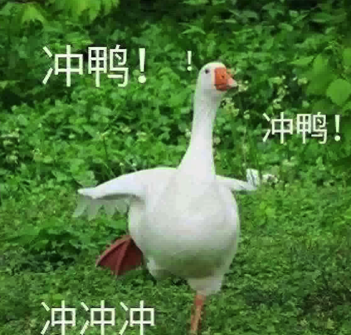 浙江10万只鸭子出征巴基斯坦灭蝗