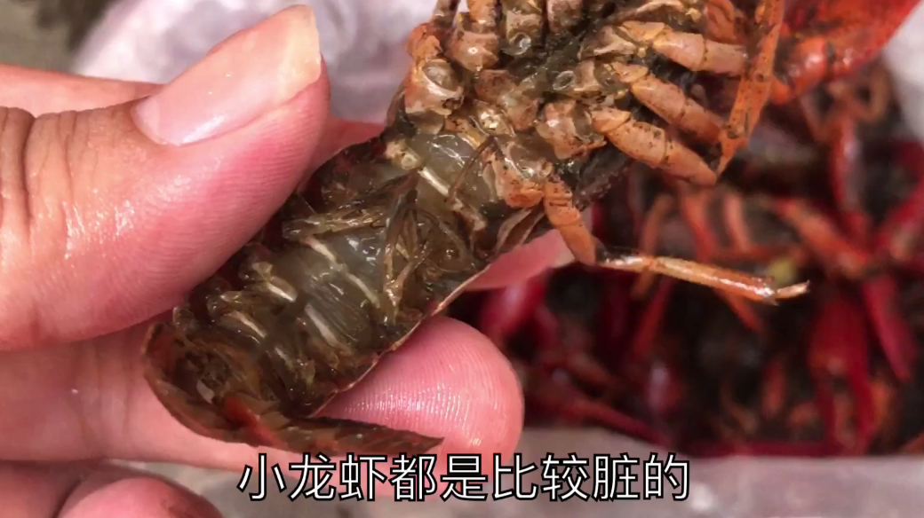 大多数人清洗小龙虾的步骤都错了,看视频才知道,这才是最佳步骤
